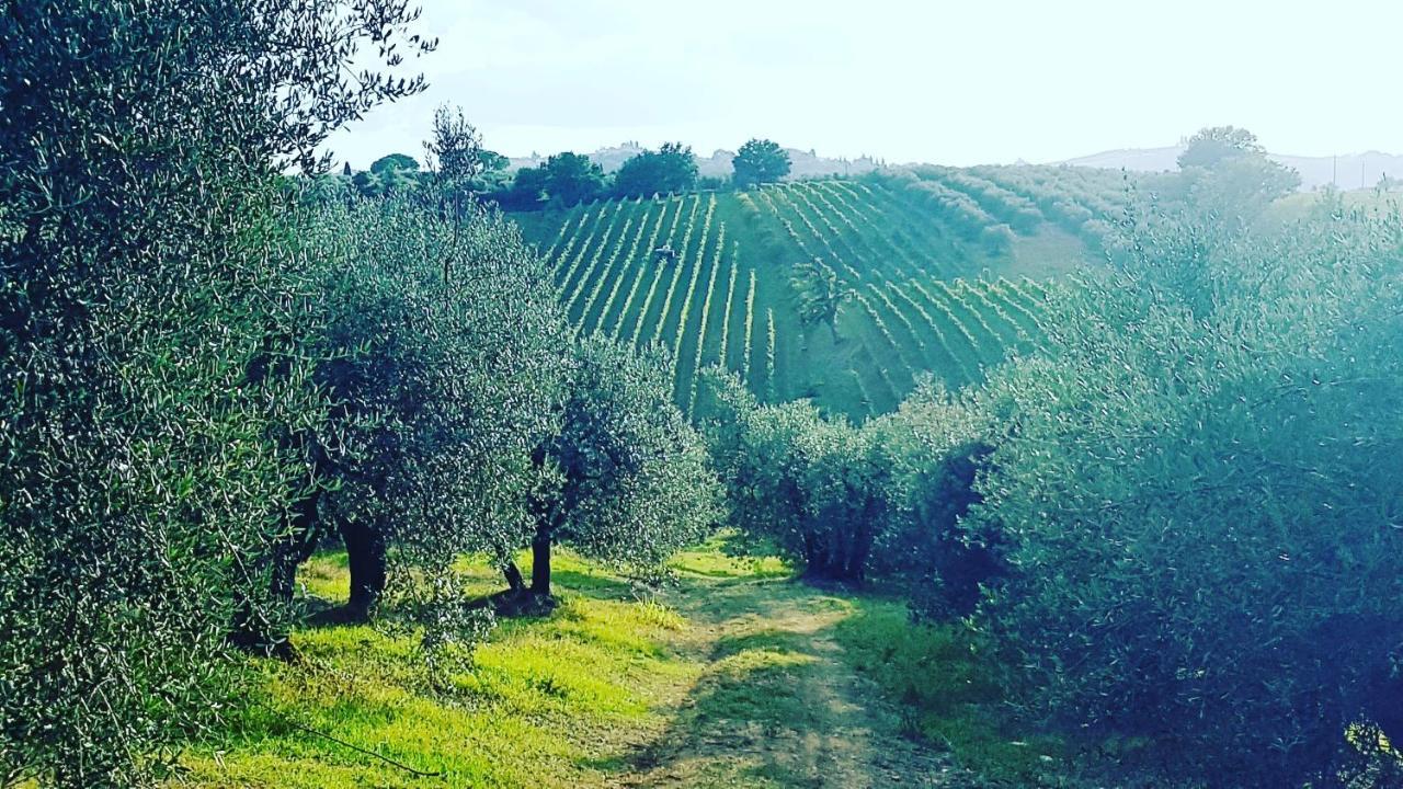 Agriturismo Sant'Ellero San Casciano in Val di Pesa Luaran gambar